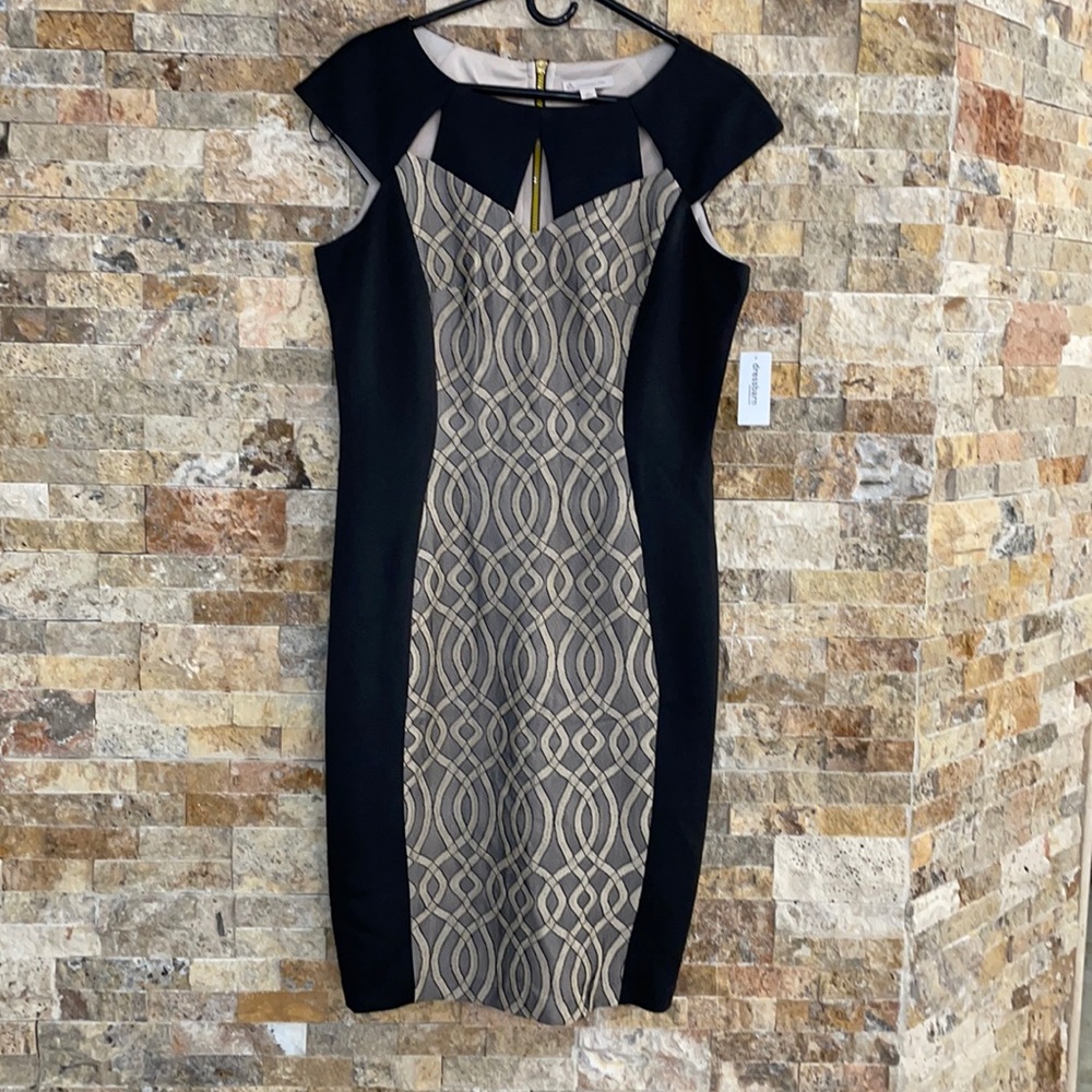 NEW Dressbarn Women’s dress Size 14